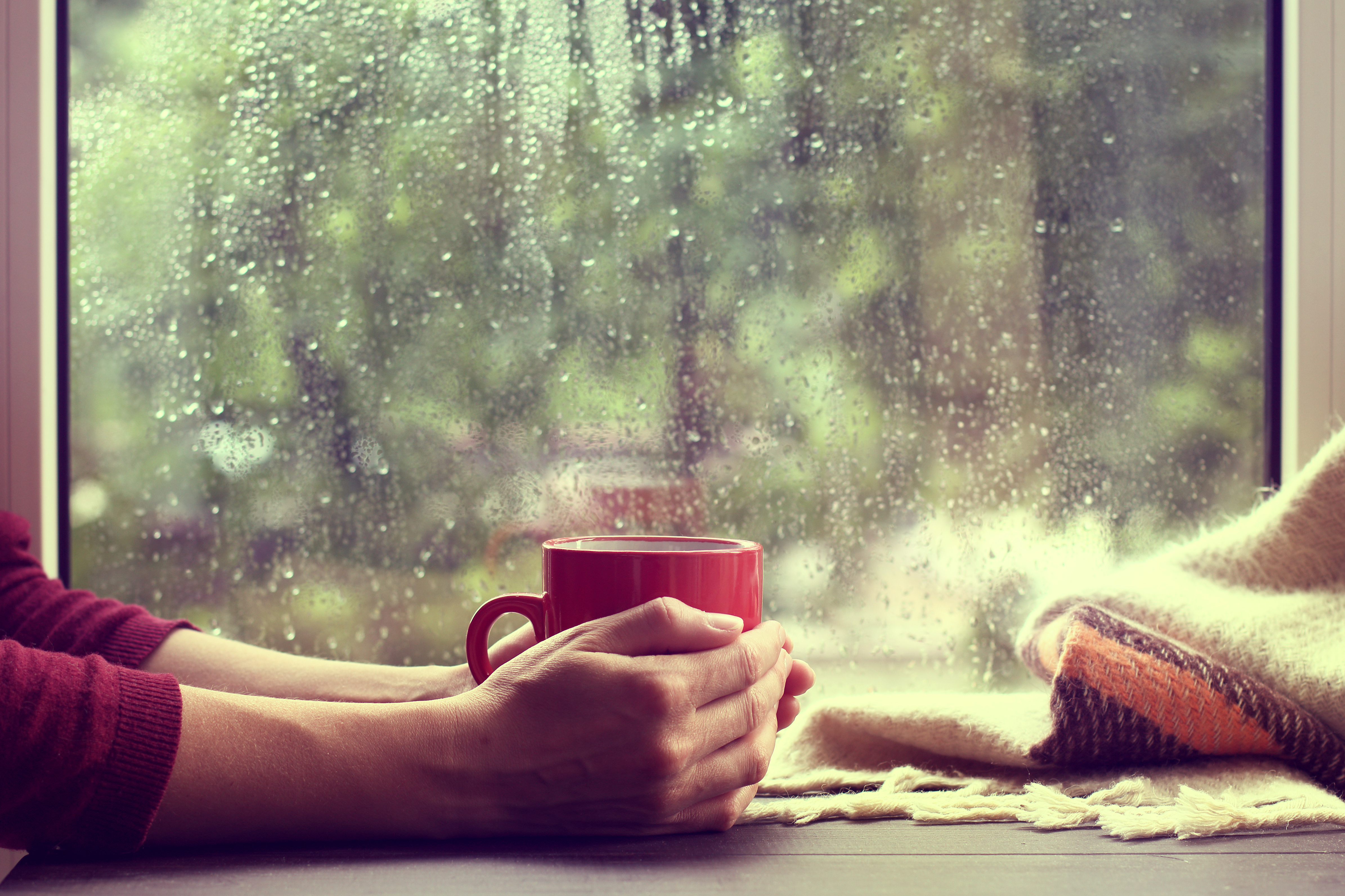 Утро дождь картинки. Чай у окна. Чай и дождь за окном. Девушка с чашкой чая у окна. Чашка чая на подоконнике.
